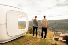 Zwischen Baumwipfeln träumen, einzigartiges Naturerlebnis Bad Wildbad
